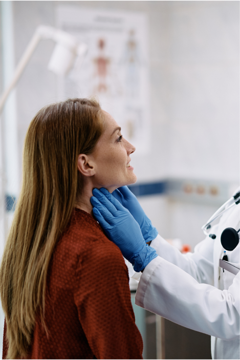 Estrutura Organizada do Curso