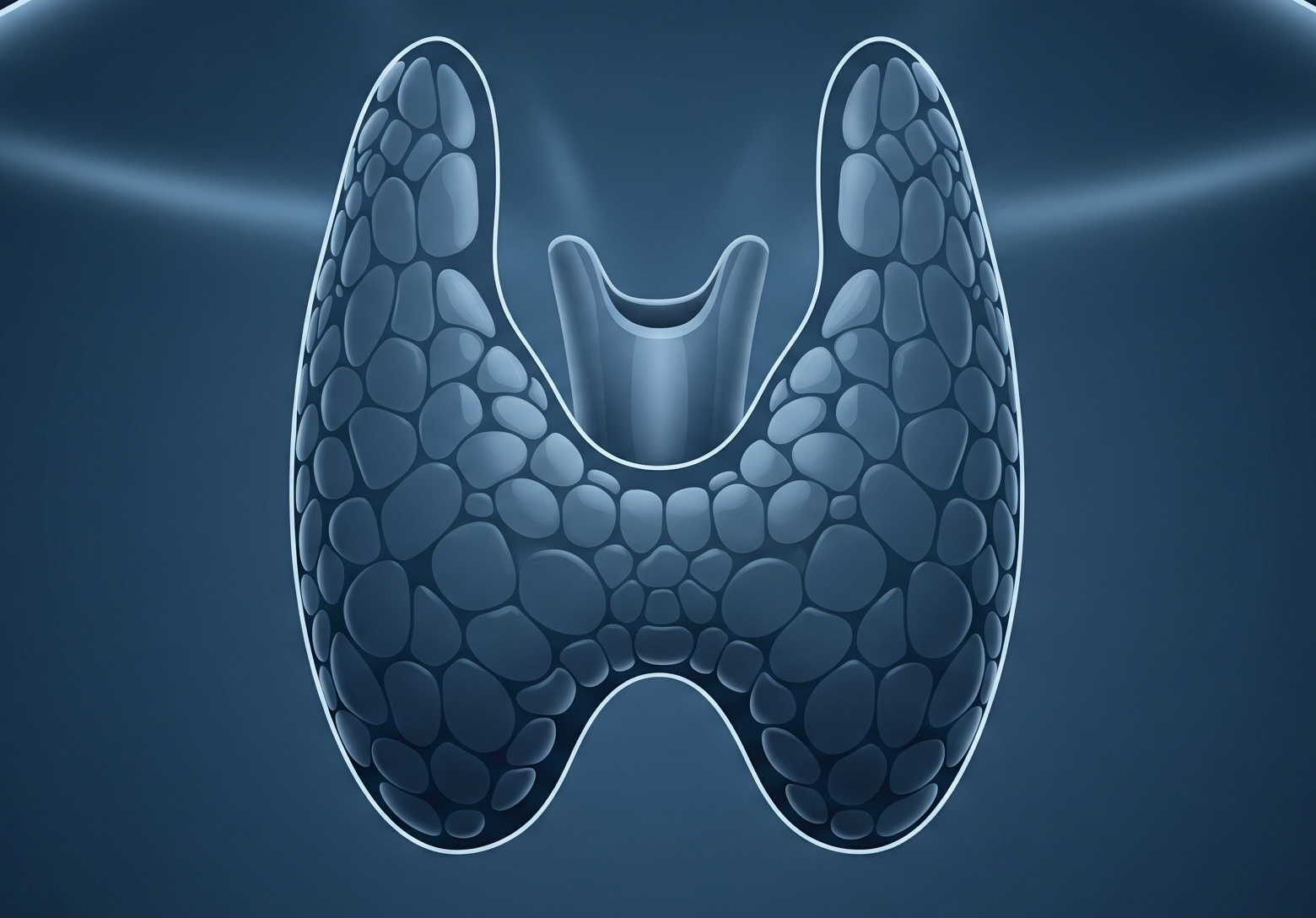 Imagem ilustrativa estetoscópio ao lado de glândula de tireóide